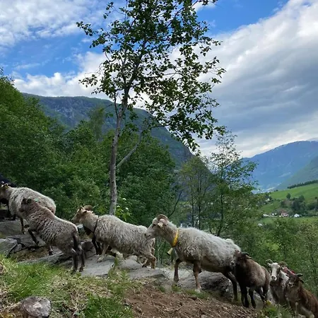 Flam Hostel *