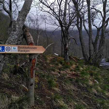 Flam Hostel Hostel *